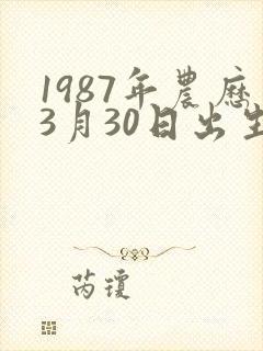 1987年农历3月30日出生的人命运