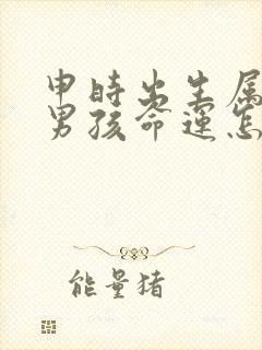 申时出生属猴的男孩命运怎么样