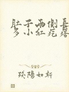 肚子两侧长了好多小红疙瘩很痒