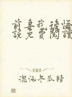 前妻我后悔了小说免费阅读全本封面