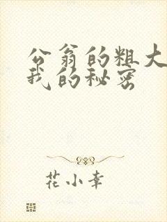 公翁的粗大放进我的秘密