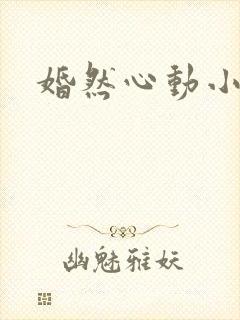 婚然心动小说