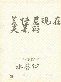 吴佳尼现在的丈夫是谁