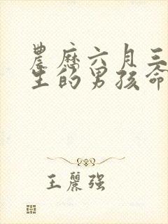 农历六月三十出生的男孩命运封面