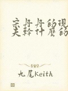 宋丹丹的现任丈夫干什么的