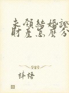 未领结婚证离婚财产怎么分配封面