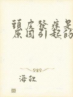 头皮发痒是什么原因引起的,怎么解决