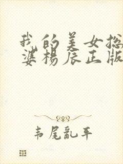 我的美女总裁老婆杨辰正版