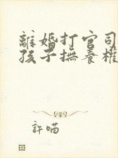 离婚打官司争夺孩子抚养权封面