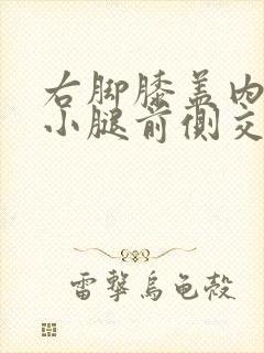 右脚膝盖内侧与小腿前侧交界处疼痛