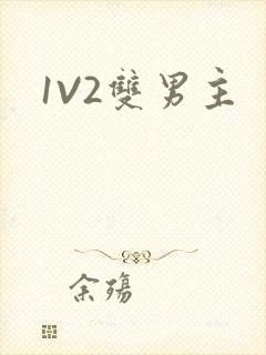 1V2双男主
