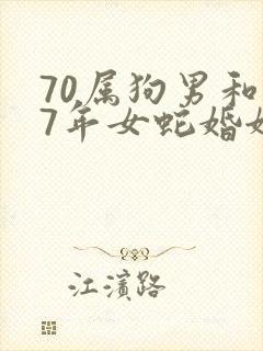 70属狗男和77年女蛇婚姻是否相配封面