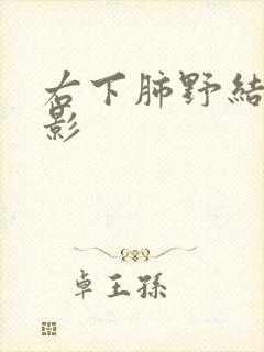 右下肺野结节样影