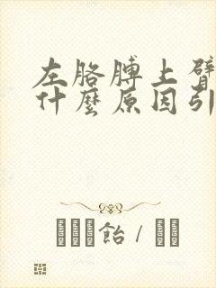 左胳膊上臂疼痛什么原因引起的