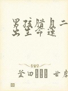 男孩腊月二十八出生命运