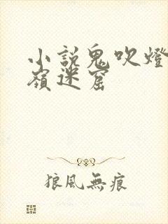 小说鬼吹灯之龙岭迷窟