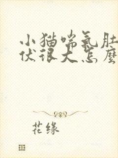 小猫喘气肚子起伏很大怎么回事