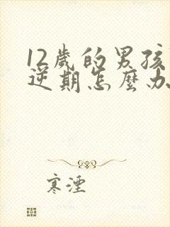 12岁的男孩叛逆期怎么办