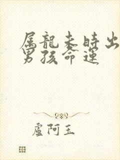 属龙未时出生的男孩命运