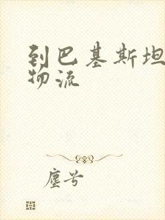 到巴基斯坦专线物流