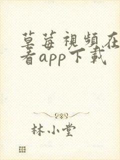 草莓视频在线观看app下载封面