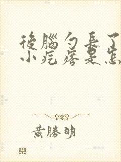 后脑勺长了一个小疙瘩是怎么回事