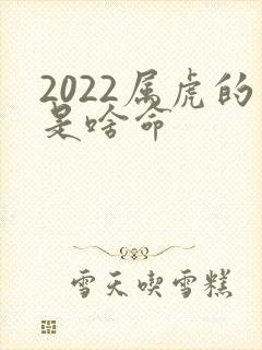 2022属虎的是啥命