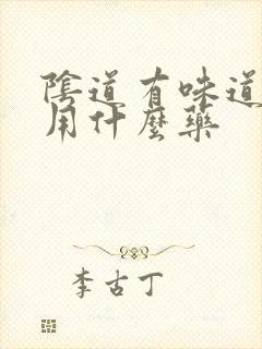 阴道有味道应该用什么药