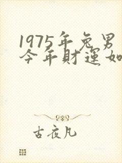 1975年兔男今年财运如何