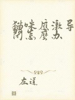 猫咪应激导致尿闭怎么办