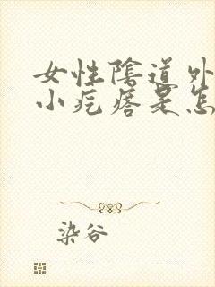 女性阴道外面起小疙瘩是怎么回事