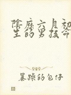 阴历六月初一出生的男孩命运