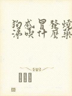 狗感冒发烧流鼻涕吃什么药封面