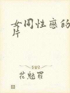 女同性恋的黄色片