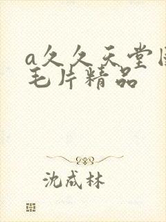 a久久天堂国产毛片精品