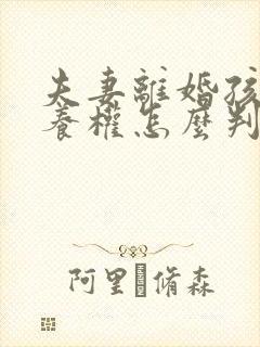 夫妻离婚孩子抚养权怎么判定一个孩子