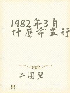 1982年3月什么命五行属性