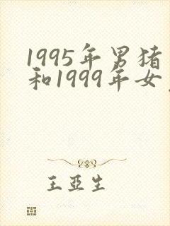 1995年男猪和1999年女免婚姻状况