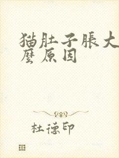 猫肚子胀大是什么原因