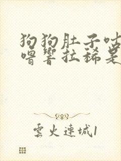 狗狗肚子咕噜咕噜响拉稀是怎么回事