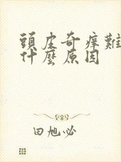 头皮奇痒难忍是什么原因