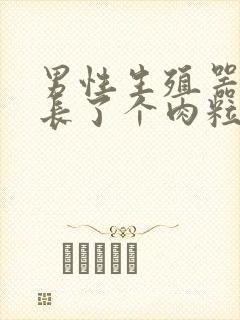 男性生殖器旁边长了个肉粒