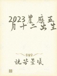 2023农历五月十二出生的男孩命运