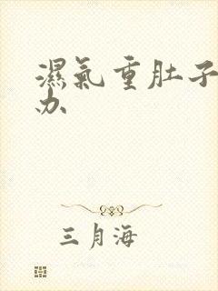 湿气重肚子大咋办