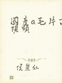 国产a毛片高清视频