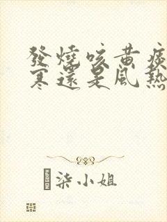 发烧咳黄痰是风寒还是风热