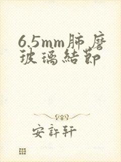 6.5mm肺磨玻璃结节