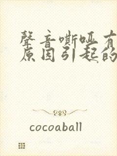 声音嘶哑有几种原因引起的