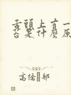 舌头上有一层白苔是什么原因