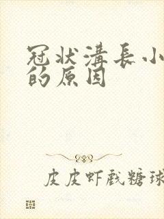 冠状沟长小肉粒的原因